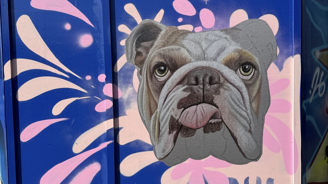 Bulldog by Scott Wright, Harlow Town, West Gate