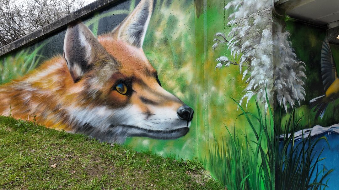 Fox's Den by MurWalls, Tripton Way Underpass
