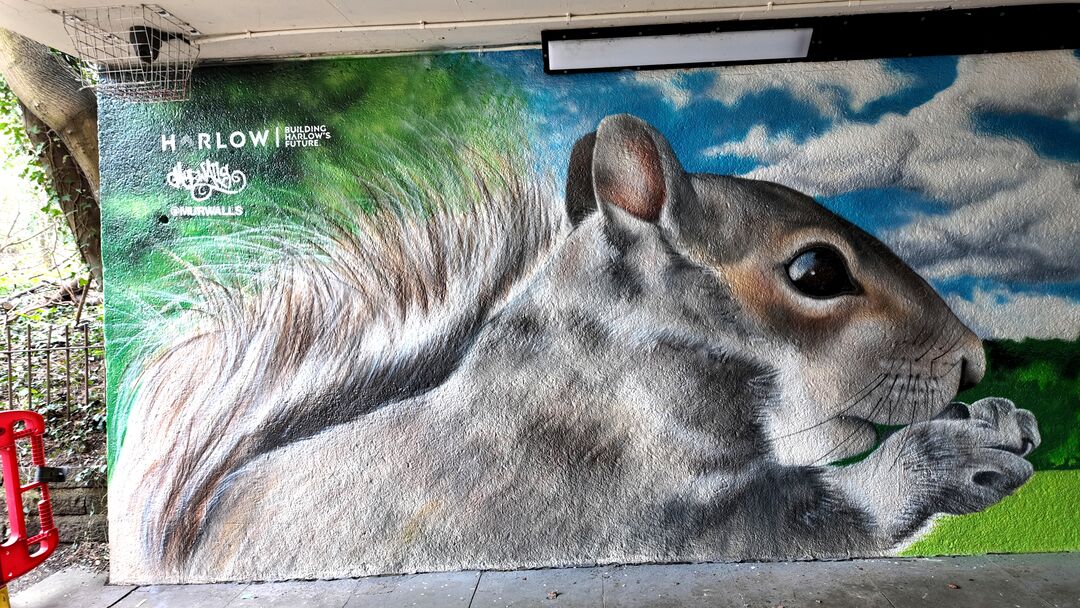 Nature Returns by MurWalls, A414 / Netteswell Rd