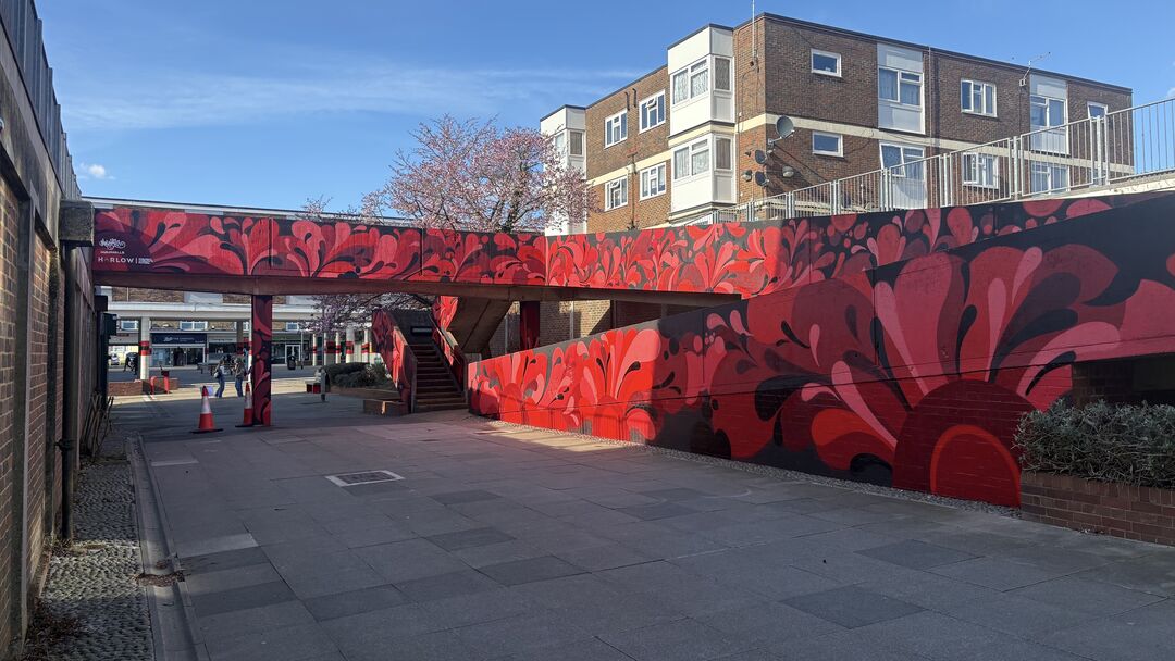 Step by Step by MurWalls, Bush Fair